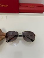 Cartier Dark brown  Unisex Pure Titanium Eyeglasses 